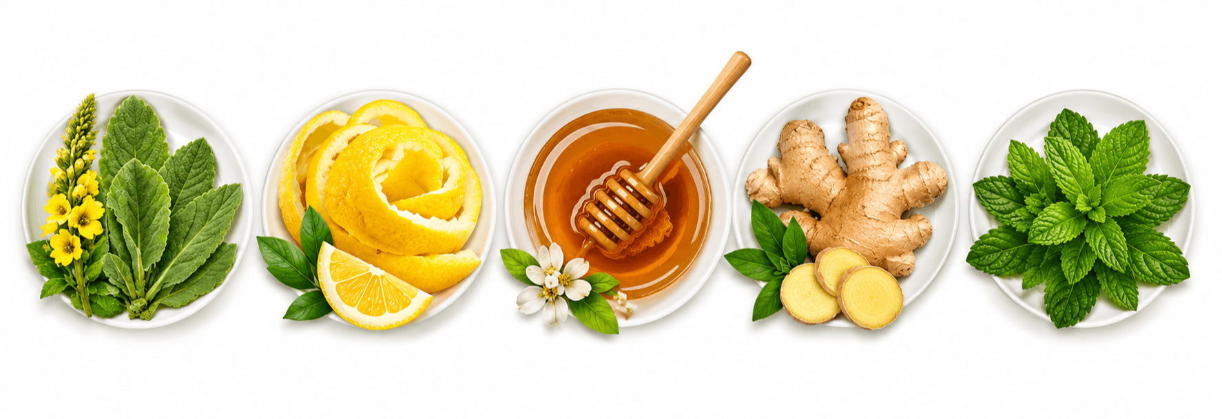 Key botanical ingredients in Breathe supplement